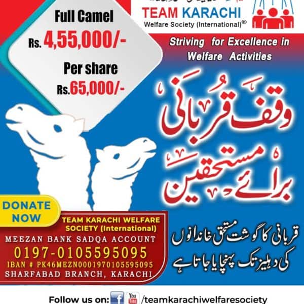 Rs. 4,55,000 full camel shares available from Team Karachi Welfare Society for charitable purposes, supporting welfare activities in Karachi.