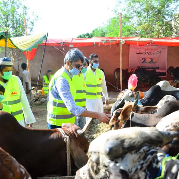 4Qurbani-projects--Team-Karachi-Welfare-Society---min